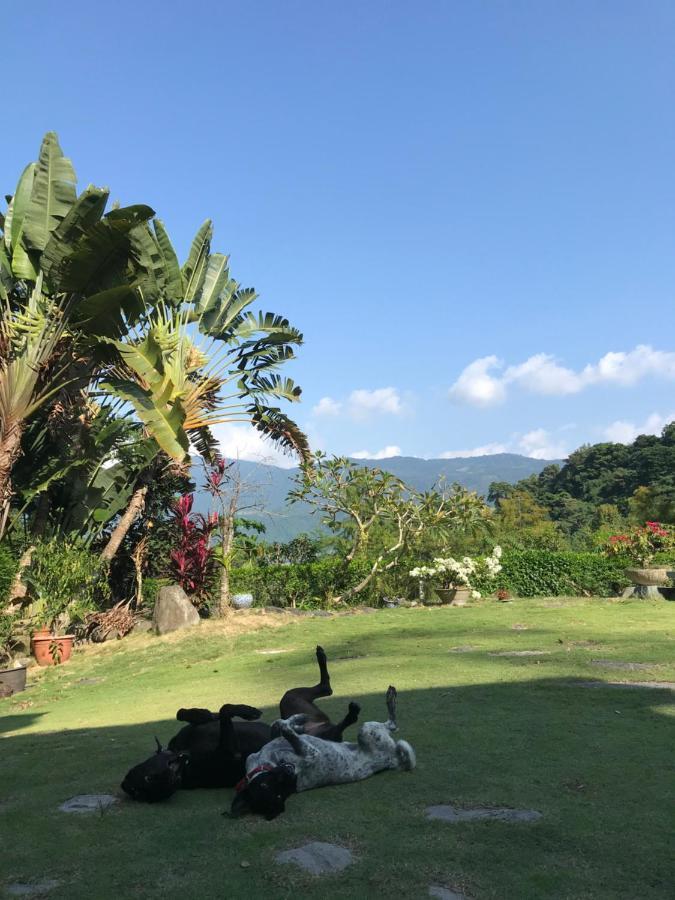 Wisdom Garden Home Stay Юйли Экстерьер фото